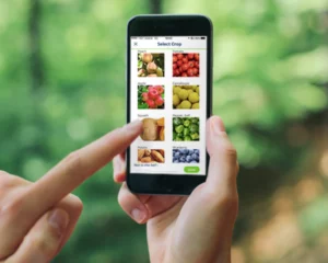 Apps to Detect Plant Diseases