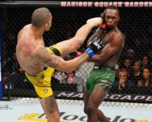 Apps to Watch Fights for Free
